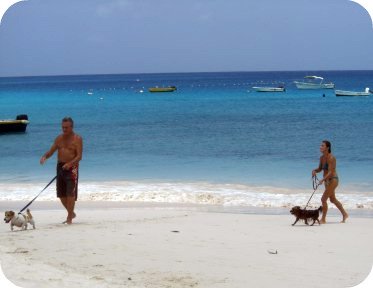 accra-beach-barbados