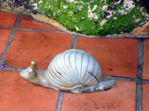 big african snail sculpture